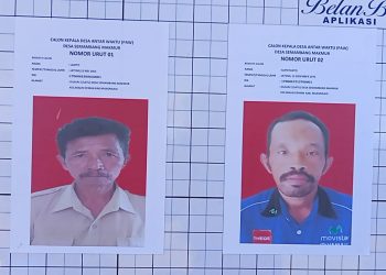 Pemilihan Kepala Desa Semambang Makmur Kecamatan Malin Deman Berjalan Lancar, Aman dan Tertib