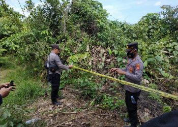 Ditemukan Gajah Tersisa Tulang Belulang, Diduga Mati Diracun