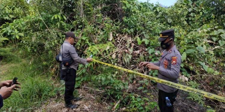 Ditemukan Gajah Tersisa Tulang Belulang, Diduga Mati Diracun