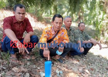 Patok Misterius Hebohkan Warga Kecamatan Malin Deman