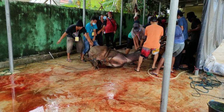 Masjid Darussalam Medan Jaya laksanakan Pemotongan Hewan Kurban dengan tetap memperhatikan Prokes