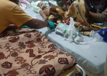 LSM LIRA: Bupati Mukomuko Diharapkan Evaluasi Manajemen RSUD