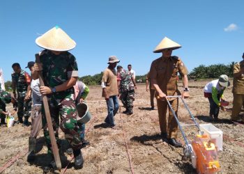 Ketahanan Pangan KASAD : Kodim 0428/MM Launching Pemanfaatan Lahan di Desa
