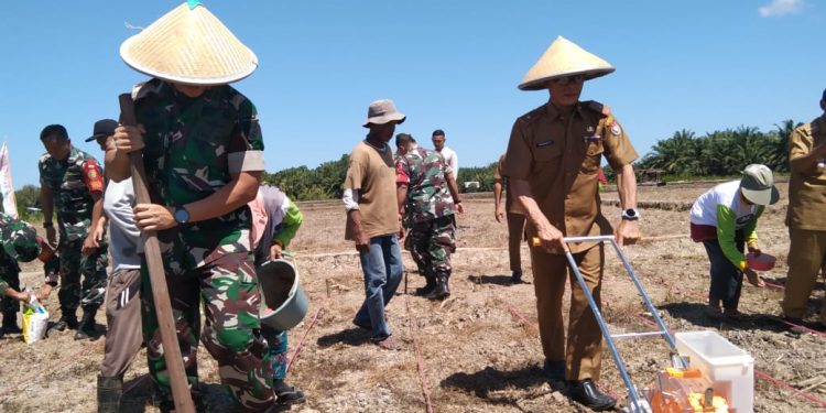 Ketahanan Pangan KASAD : Kodim 0428/MM Launching Pemanfaatan Lahan di Desa