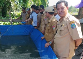 Pemdes Pasar Baru Gelar Monev Ketahanan Pangan Budidaya Ikan Lele