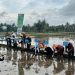 Tingkatkan Program Ketahan Pangan, Pemdes Pasar Baru Gelar Tanam Raya Bibit Padi