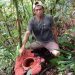 Malin Deman, Ikon Bengkulu Bunga Raflesia Ditemukan Seorang Pemancing di Hutan TNKS