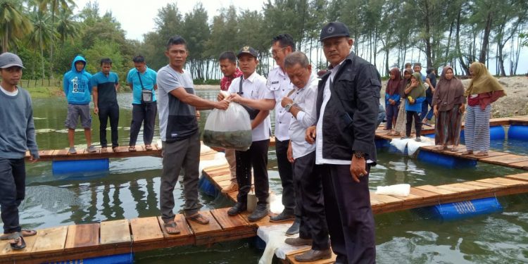 Wujudkan Ketahanan Pangan dan Pengembangan Sektor Pariwisata, Pemdes Retak Ilir Lepas Ribuan Benih Ikan Nila di Kolam Kerambah Jaring Apung