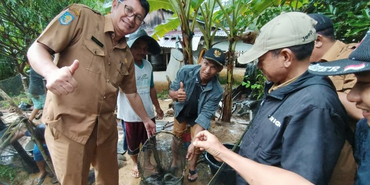 Ketahanan Pangan, Pokmas Manunggal Jaya Panen Raya Ikan Lele