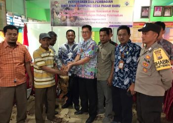 Pemdes Pasar Baru, Perkuat Ketahanan Pangan Desa Dengan Pengembangan Ternak Ayam
