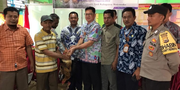 Pemdes Pasar Baru, Perkuat Ketahanan Pangan Desa Dengan Pengembangan Ternak Ayam