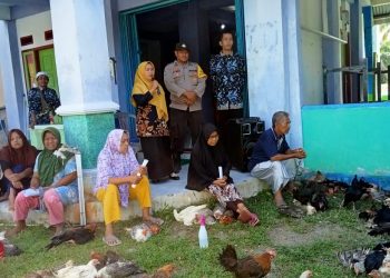 Pemdes Pulau Makmur Kembali Maksimalkan Program Ketahanan Pangan Desa