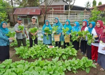 Derta Ajak Masyarakat Manfaatkan Pekarangan dengan Menanam Sayuran dan Buah