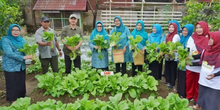 Derta Ajak Masyarakat Manfaatkan Pekarangan dengan Menanam Sayuran dan Buah