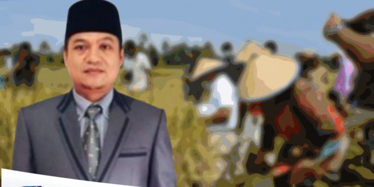Perkuat Sistem Pertanian yang Produktif, Ketua Komisi II DPRD Dukung Program Ketahanan Pangan di Kabupaten Mukomuko