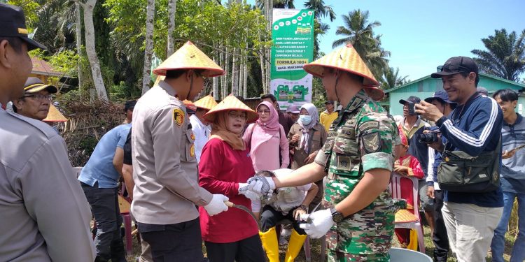 Panen Raya Padi Sawah Tandah Hujan 5 Desa Kecamatan Ipuh : Wakil Bupati Wasri, Mari Kita Perkuat Program Ketahanan Pangan di Desa