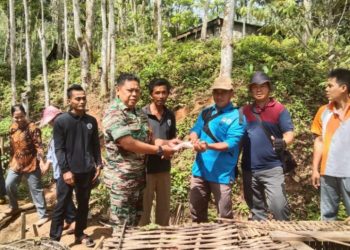 Ketahanan Pangan, Pemdes Semambang Makmur Gelar Panen Lele Bersama Pokmas