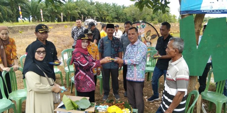 Pemdes Agung Jaya Pacu Pembangunan Desa Wisata Pangonan, Wabup Mukomuko Beri Apresiasi