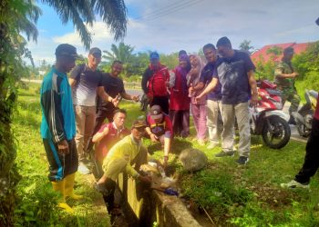 Pemdes Air Buluh Gelar Monev Pembangunan Sarana Air Bersih