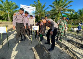 Penanaman Mangrove Nasional, Kapolres Mukomuko Bersama TNI & FKPD Mukomuko Ikuti Penanaman Serentak