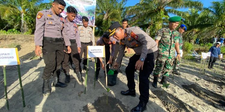 Penanaman Mangrove Nasional, Kapolres Mukomuko Bersama TNI & FKPD Mukomuko Ikuti Penanaman Serentak