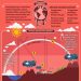 INFOGRAFIS: Dan Bumi pun Makin Panas