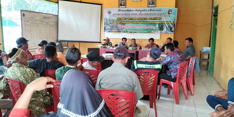 Pemdes Semambang Makmur Gelar Pelatihan Pemberdayaan Ketahanan Pangan Desa