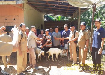Ketahanan Pangan Hewani, Pemdes Gajah Makmur Bagikan Kambing dan Bibit Lele Kepada Pokmas 