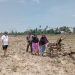 Akibat Kemarau, 260 Hektare Sawah di Pasar Ipuh Mengalami Kekeringan