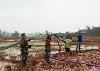 Babinsa Koramil 428-02/ Ipuh Bantu Petani Pompanisasi Atasi Kekeringan Persawahan di Desa Pasar Ipuh
