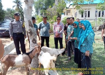 Desa Manunggal Jaya Meningkatkan Ketahanan Pangan Hewani Melalui Bantuan Ke Kelompok Tani