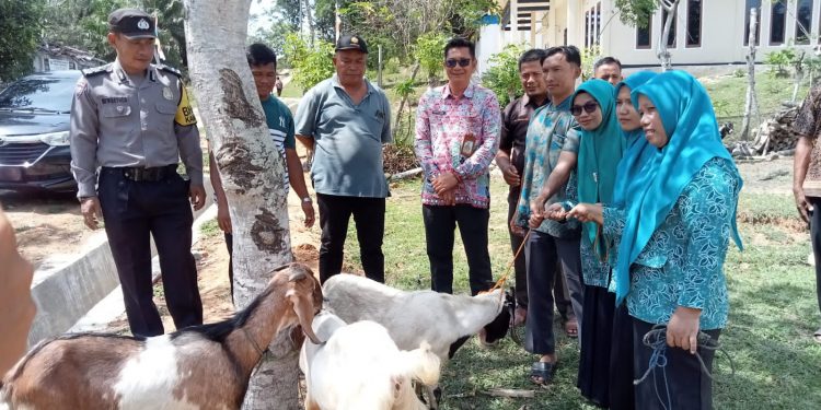 Desa Manunggal Jaya Meningkatkan Ketahanan Pangan Hewani Melalui Bantuan Ke Kelompok Tani