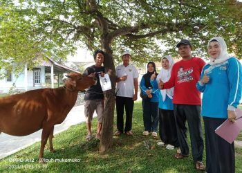 Tingkatkan Ketahanan Pangan Hewani , Pemdes Pasar Ipuh Serahkan Bantuan Hewan Ternak