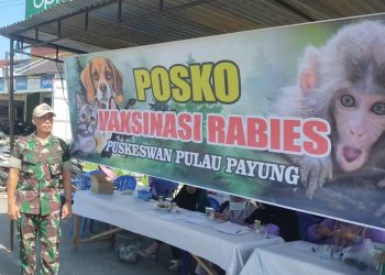 Dukung Kesehatan Hewan dan Lingkungan: Danramil Ipuh Dukung Vaksinasi Rabies di Wilayah Ipuh
