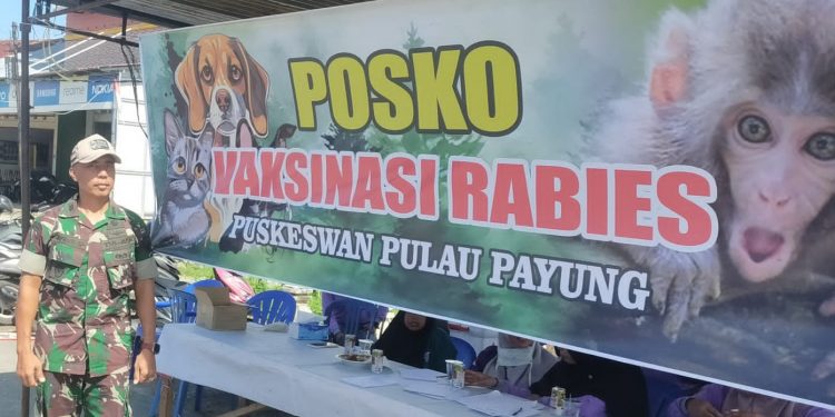 Dukung Kesehatan Hewan dan Lingkungan: Danramil Ipuh Dukung Vaksinasi Rabies di Wilayah Ipuh