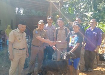 Perkuat Program Ketahanan Pangan, Pemdes Gajah Makmur Bagikan Hewan Ternak