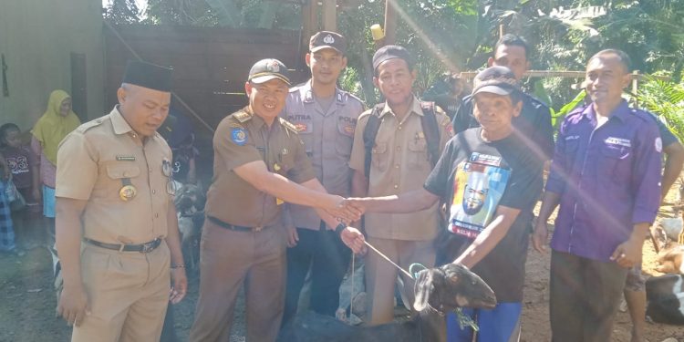 Perkuat Program Ketahanan Pangan, Pemdes Gajah Makmur Bagikan Hewan Ternak