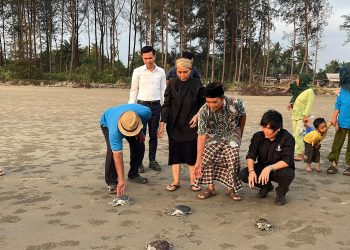Calon Wakil Gubernur Bengkulu Meriani Tunjukkan Kepedulian terhadap Lingkungan dengan Lepas Anak Penyu