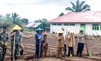 Dukung Program Asta Cita, Polres Mukomuko Ikut Tanam Jagung Serentak 1 Juta Hektar Mukomuko